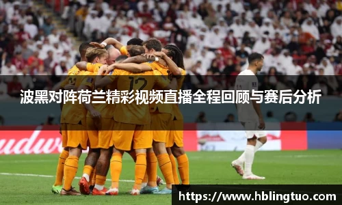 波黑对阵荷兰精彩视频直播全程回顾与赛后分析